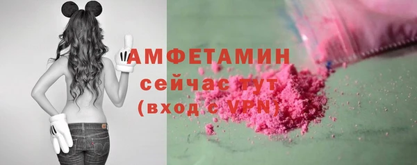 дживик Осташков