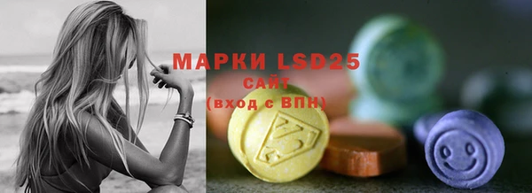 дживик Осташков