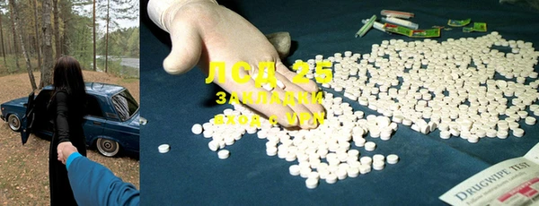 дживик Осташков