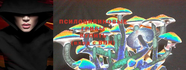 спиды Осинники