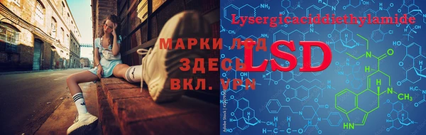 спиды Осинники