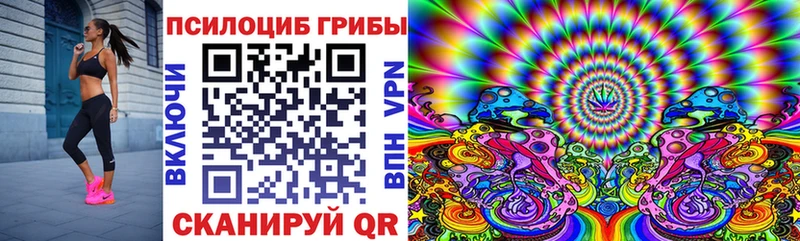 Галлюциногенные грибы Cubensis мега рабочий сайт Сорск как найти закладки
